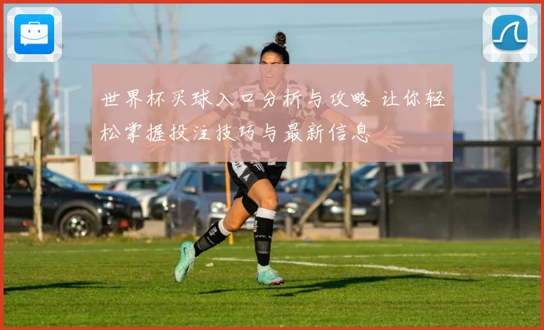 世界杯买球入口分析与攻略 让你轻松掌握投注技巧与最新信息