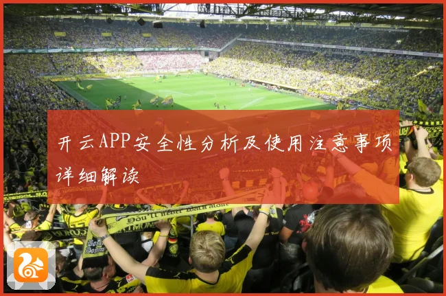 开云APP安全性分析及使用注意事项详细解读