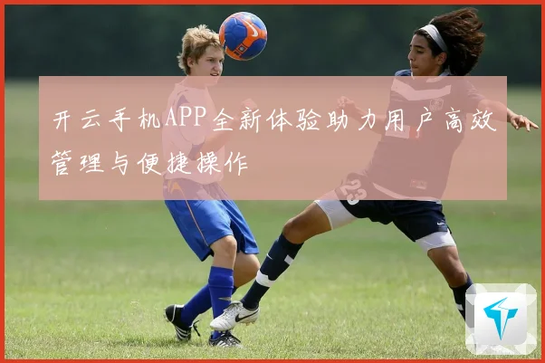 开云手机APP全新体验助力用户高效管理与便捷操作