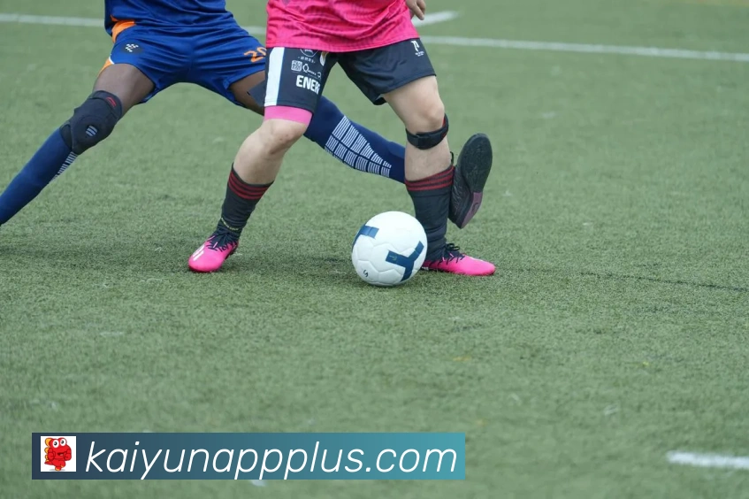 开云平台展示图