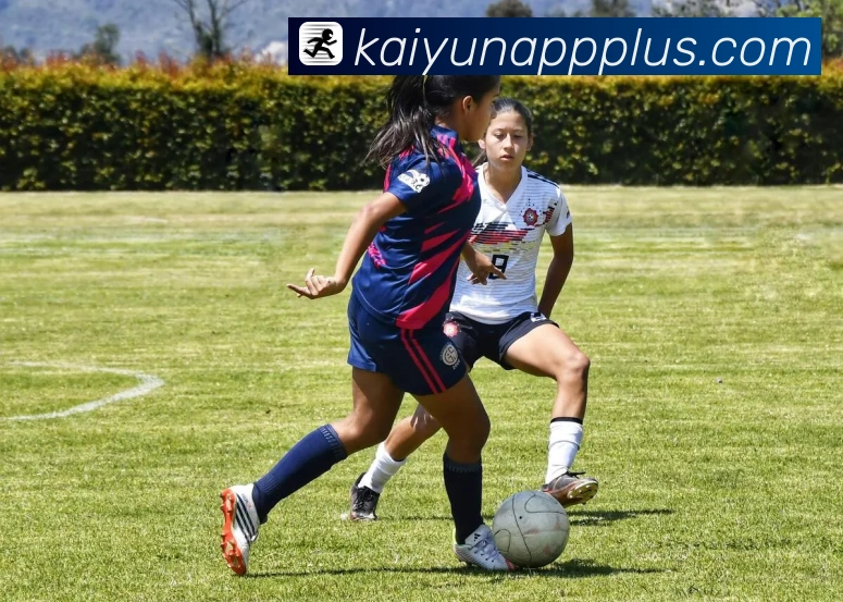 开云官网备用网址最新入口，畅享全球购物体验与独特优惠